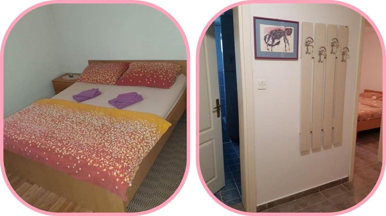 Apartmani Apolon Vrdnik Exterior foto